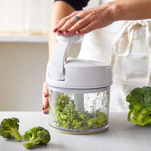Your Search For The Best Manual Vegetable Chopper Ends Here Best